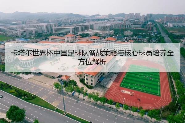 卡塔尔世界杯中国足球队备战策略与核心球员培养全方位解析（YABO）